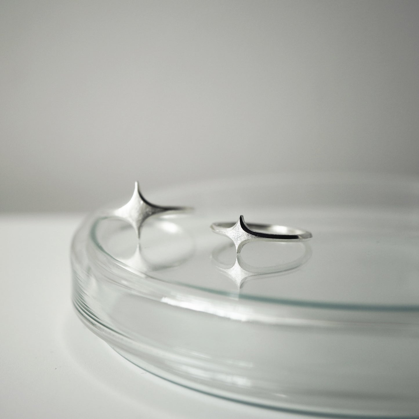 Stella Ring - Flat Brushed Silver
