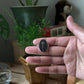 Fossil Mini Daisy Ring - Oxidised Silver