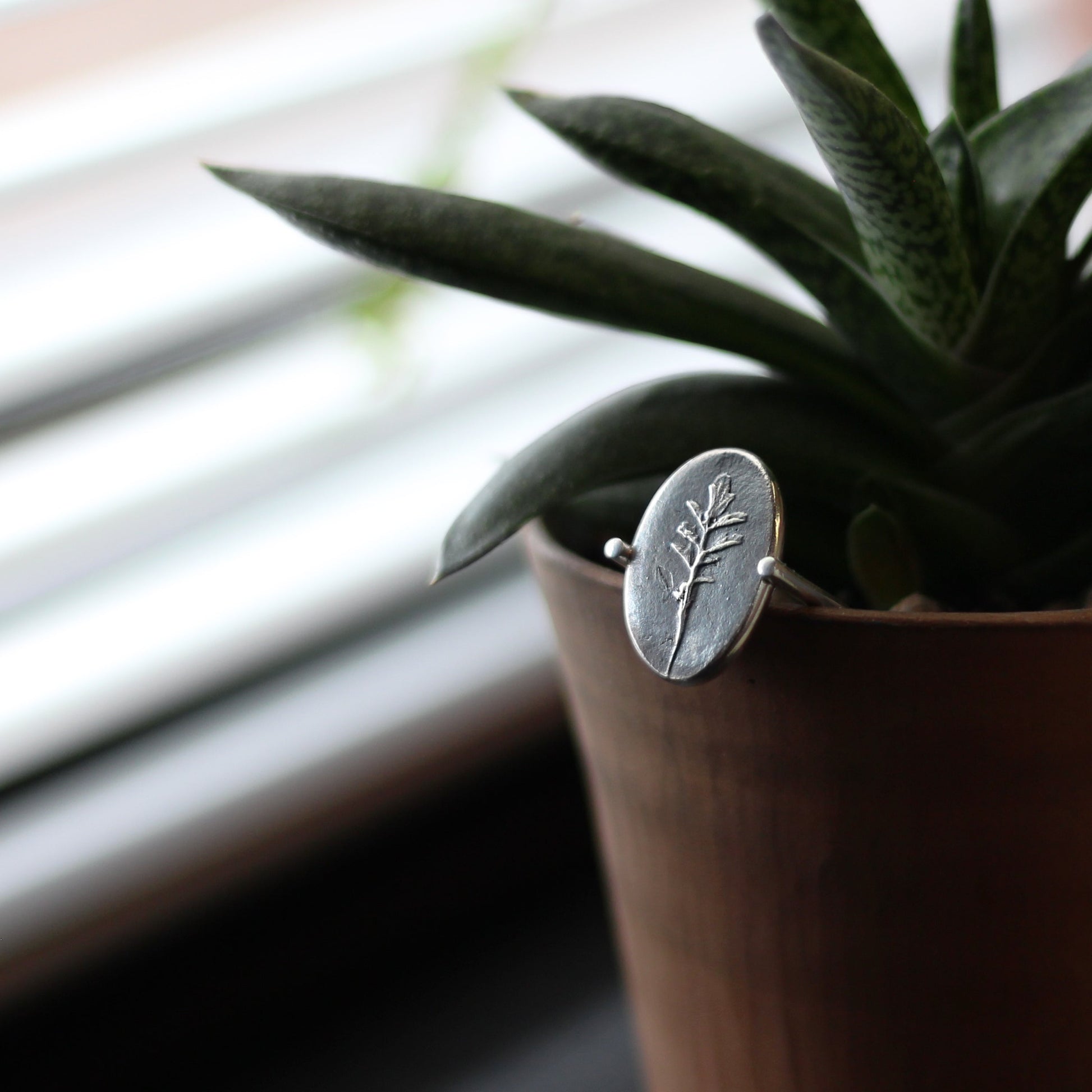 Fossil Leaf Ring next to a pot of aloe vera