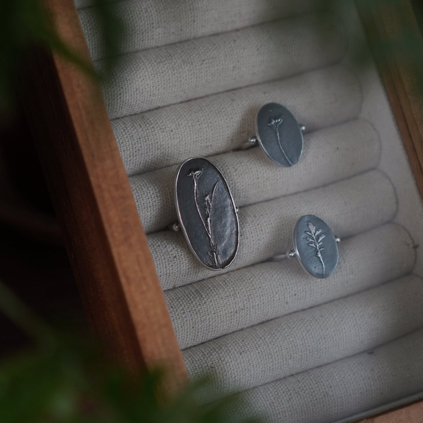 Fossil Mini Daisy Ring - Oxidised Silver - Aisling Chou Studio