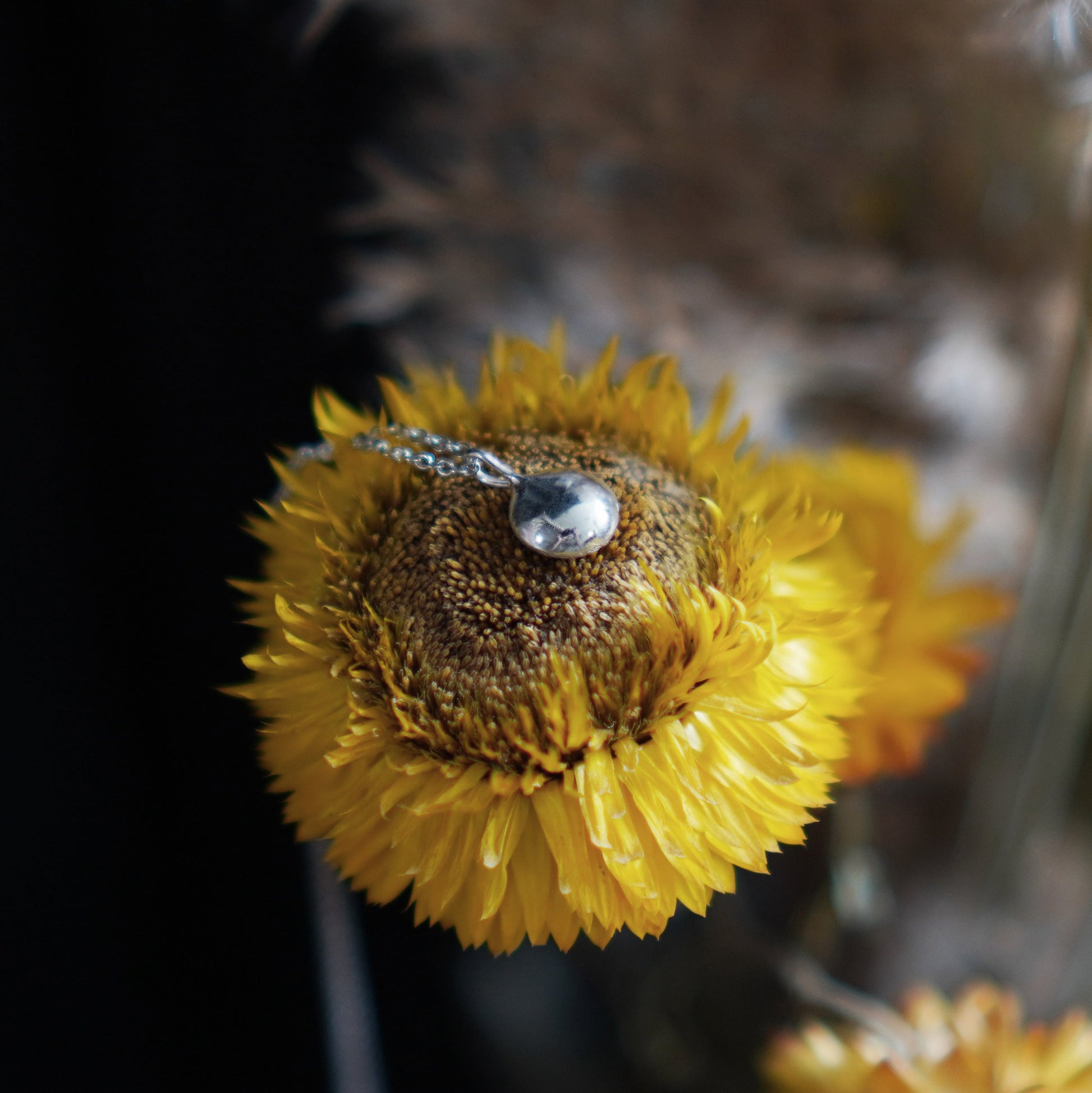 Shepherd's Purse Little Flower Necklace - Silver - Aisling Chou Studio
